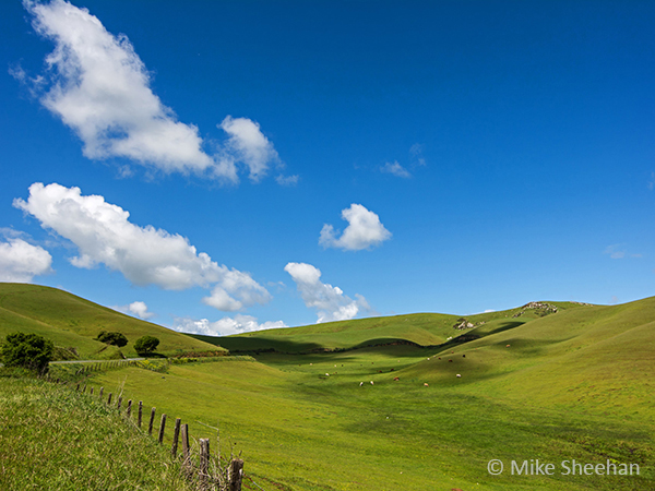 rolling green hills and a clear blue sky by mike sheehan